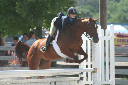 IMG_1190_edited-1